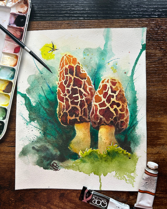 Morels mushroom Watercolor painting by Sophie Xie Dream In Watercolor. This stunning painting is available as a print on my website, http://www.dreaminwatercolor.com