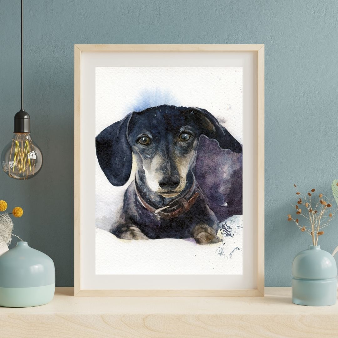 Framed artwork of a dachshund on a wall with decorative elements. Watercolor painting by Sophie Xie Dream In Watercolor. This stunning painting is available as a print on my website, http://www.dreaminwatercolor.com