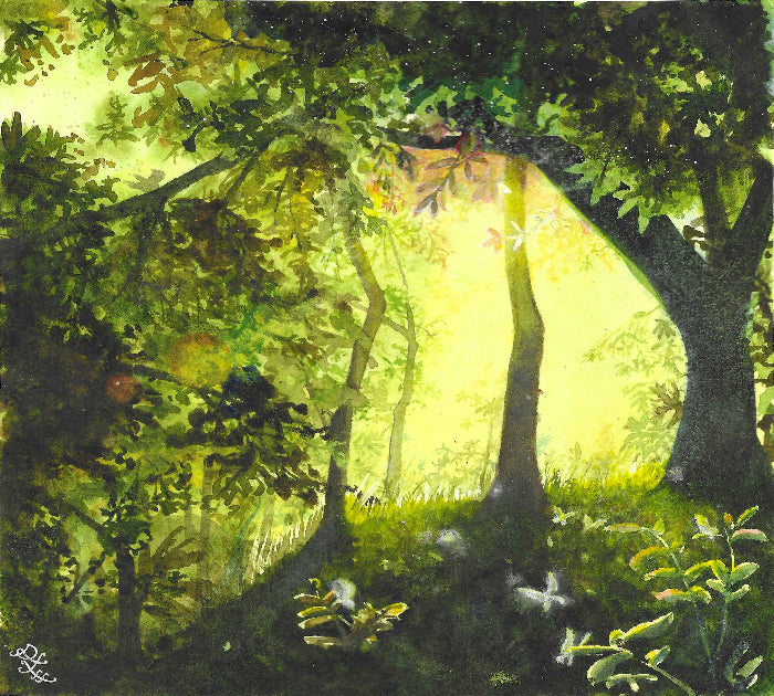 The artwork titled "Butterfly Forest" captures a breathtaking scene within a vibrant, lush forest. Sunlight filters gently through the thick canopy of branches and leaves, casting a warm glow on the forest floor. This illumination reveals a tapestry of delicate butterflies fluttering about.