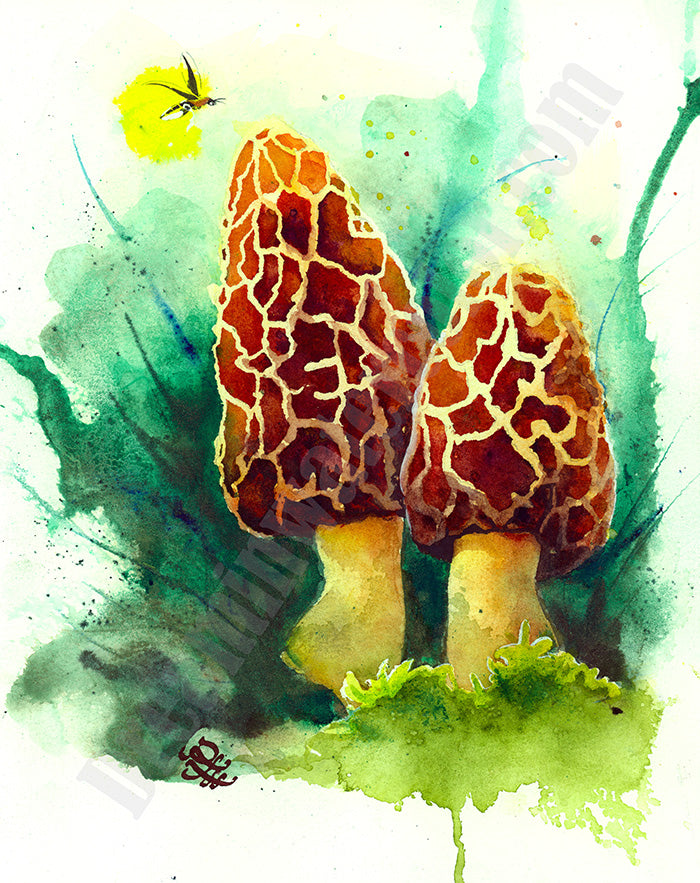 Mushrooms