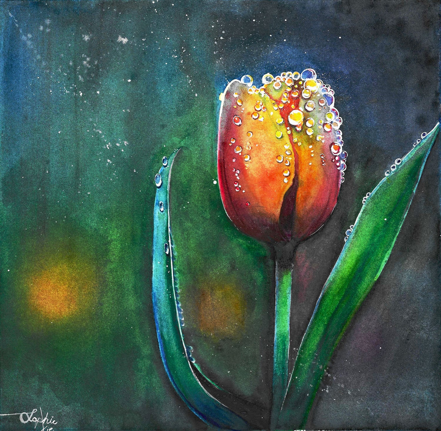 Dream and Light