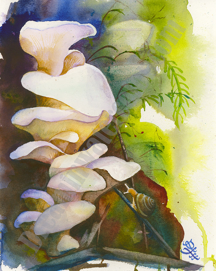 Angel Wings mushroom Watercolor painting by Sophie Xie Dream In Watercolor. This stunning painting is available as a print on my website, http://www.dreaminwatercolor.com