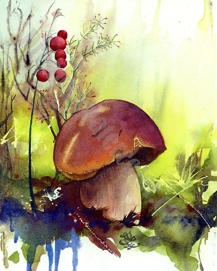 Bolete / penny bun mushroom Watercolor painting by Sophie Xie Dream In Watercolor. This stunning painting is available as a print on my website, http://www.dreaminwatercolor.com
