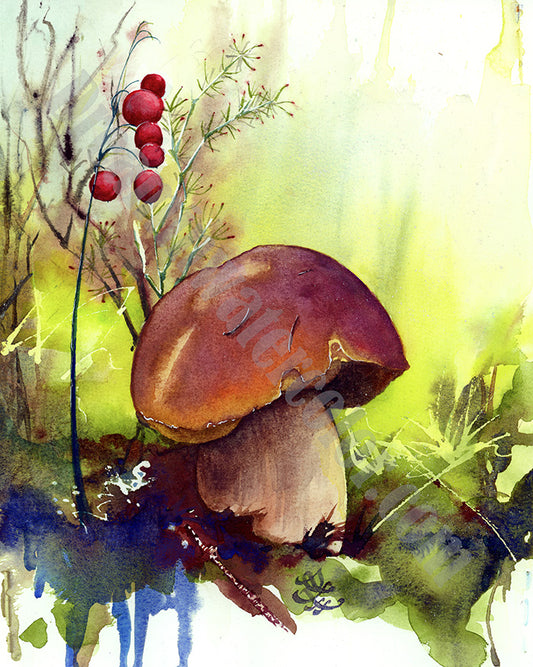 Bolete / penny bun mushroom Watercolor painting by Sophie Xie Dream In Watercolor. This stunning painting is available as a print on my website, http://www.dreaminwatercolor.com