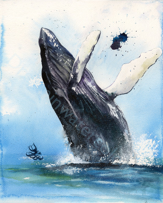 The artwork titled "Humpback Whale" beautifully captures the grandeur of a breaching humpback whale as it gracefully leaps from the ocean's depths, sending a spectacular spray of water cascading around it. Watercolor painting by Sophie Xie Dream In Watercolor. This stunning painting is available as a print on my website, http://www.dreaminwatercolor.com