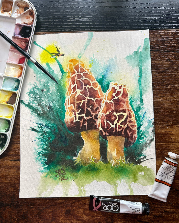 Morels mushroom Watercolor painting by Sophie Xie Dream In Watercolor. This stunning painting is available as a print on my website, http://www.dreaminwatercolor.com