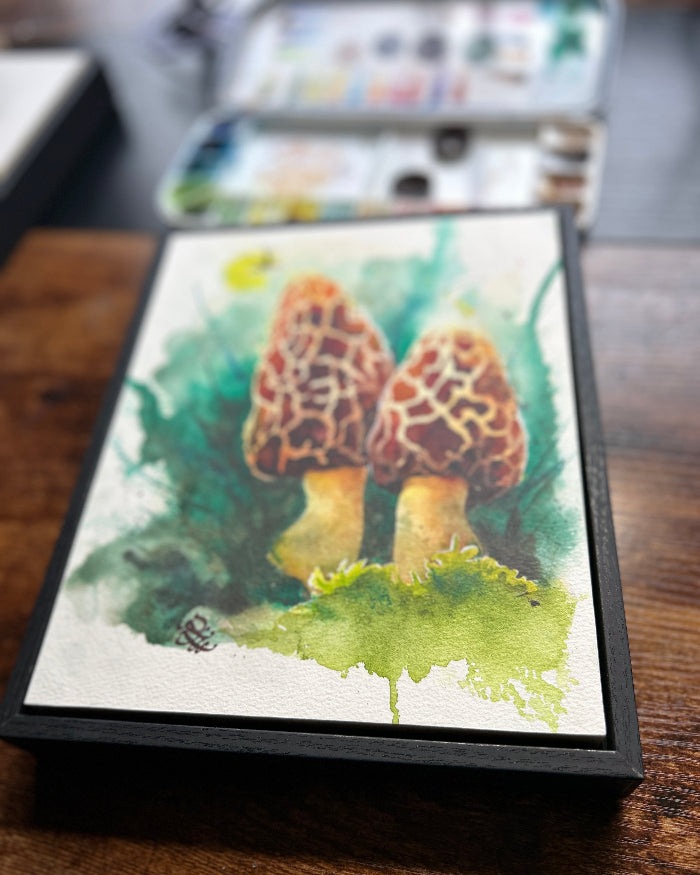 Morels mushroom Watercolor painting by Sophie Xie Dream In Watercolor. This stunning painting is available as a print on my website, http://www.dreaminwatercolor.com