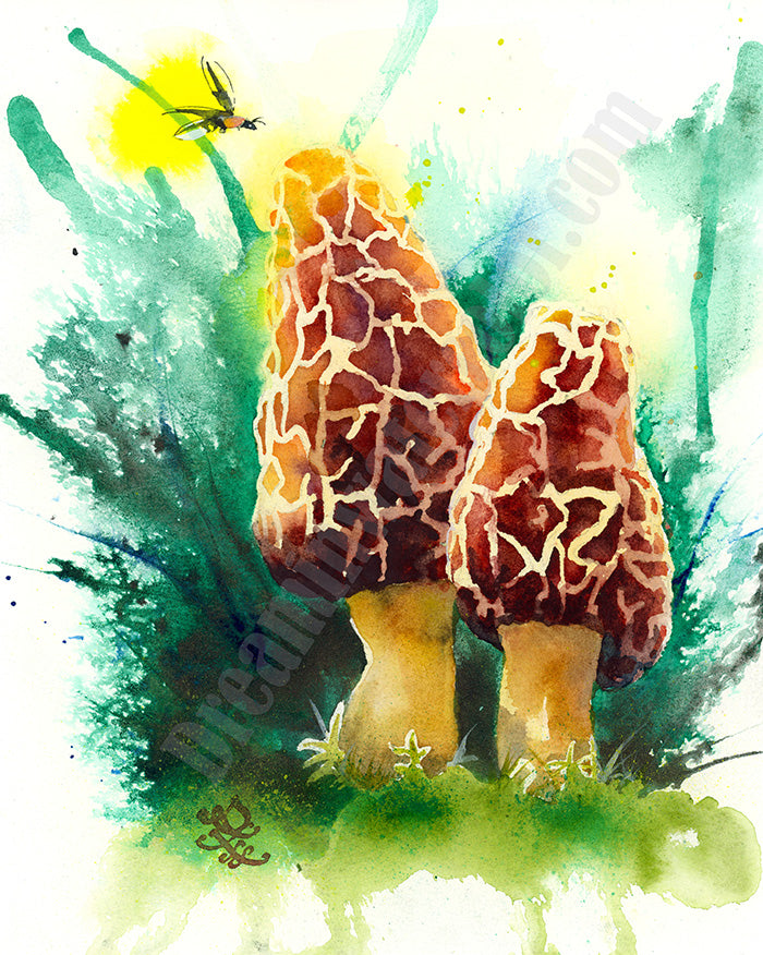 Morel1 mushroom Watercolor painting by Sophie Xie Dream In Watercolor. This stunning painting is available as a print on my website, http://www.dreaminwatercolor.com