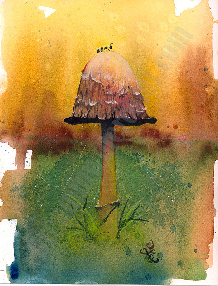 Shaggy Mane mushroom Watercolor painting by Sophie Xie Dream In Watercolor. This stunning painting is available as a print on my website, http://www.dreaminwatercolor.com