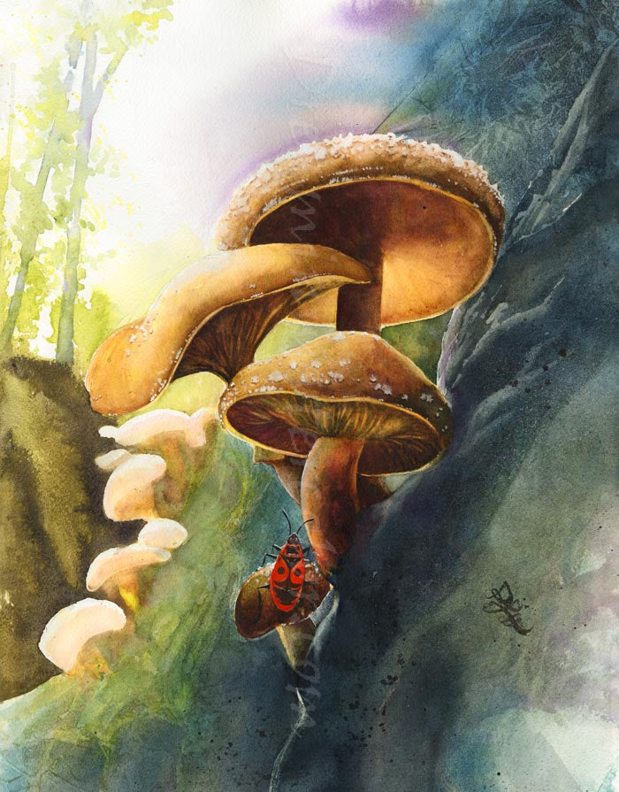 Illustration of mushrooms and a beetle on a rock with a natural background. Shiitake Watercolor painting by Sophie Xie Dream In Watercolor. This stunning painting is available as a print on my website, http://www.dreaminwatercolor.com.