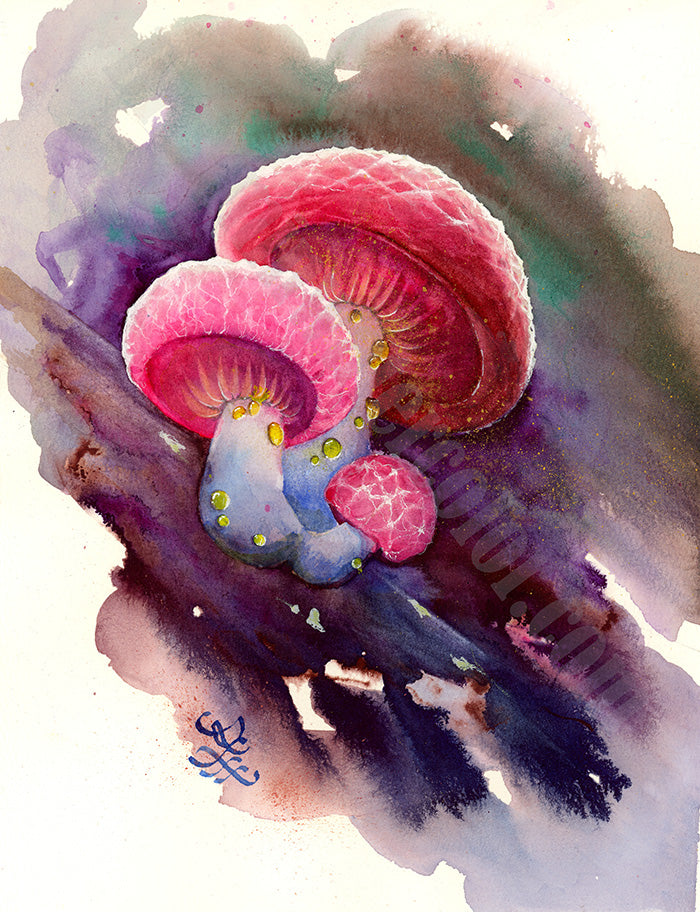 wrinkled peach mushroom Watercolor painting by Sophie Xie Dream In Watercolor. This stunning painting is available as a print on my website, http://www.dreaminwatercolor.com