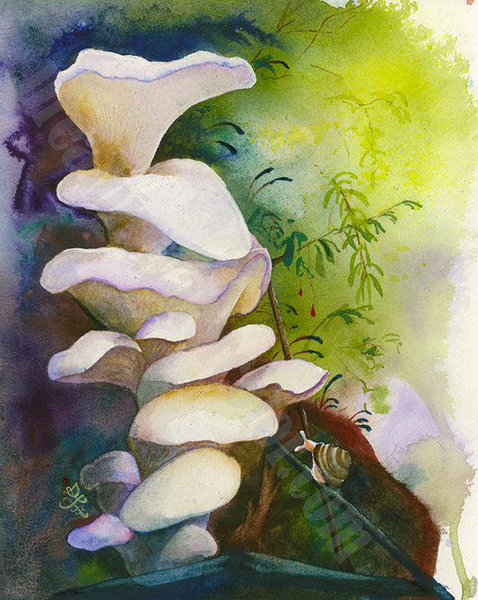 Angel Wings mushroom Watercolor painting by Sophie Xie Dream In Watercolor. This stunning painting is available as a print on my website, http://www.dreaminwatercolor.com