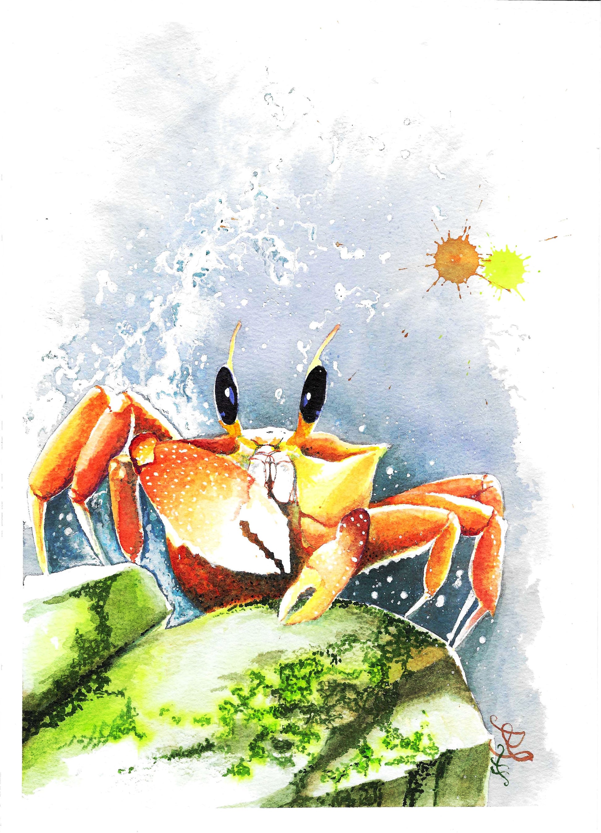 The " Crab " artwork beautifully captures a lively ocean critter that has just scaled a vibrant, moss-covered rock. As the waves crash and splash around it, the crab perches triumphantly on its new vantage point.