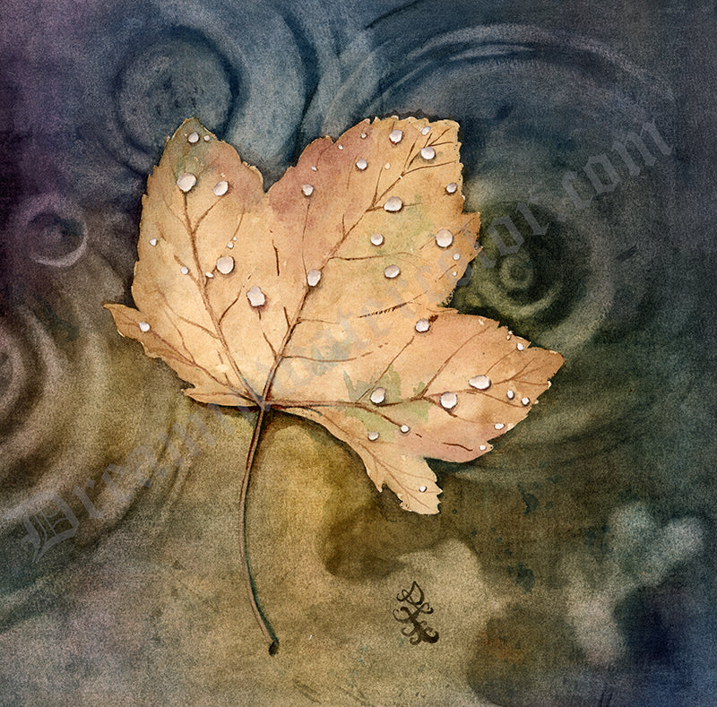 Drifting leaf Watercolor painting by Sophie Xie Dream In Watercolor. This stunning painting is available as a print on my website, http://www.dreaminwatercolor.com