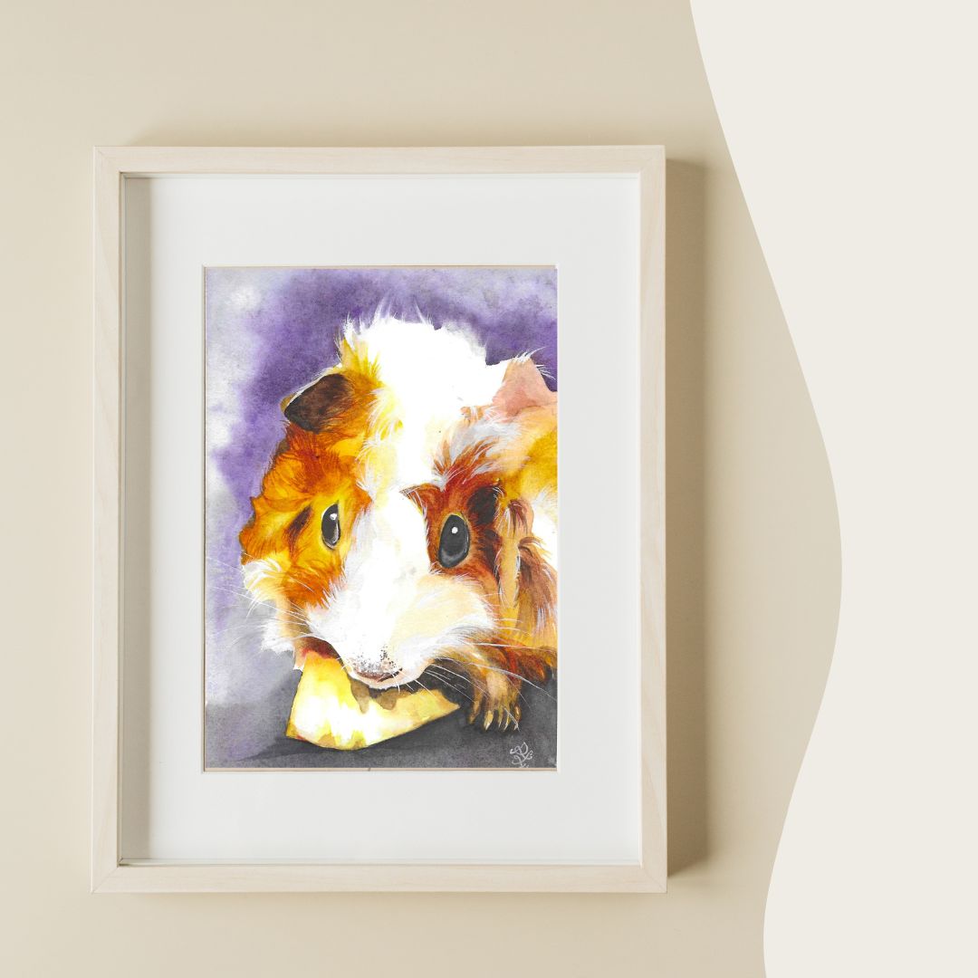 The adorable furry guinea pig curiously nibbles on a piece of cheese, its little nose twitching in delight. With bright, inquisitive eyes, it gazes directly at the viewer, exuding a sense of both charm and determination.