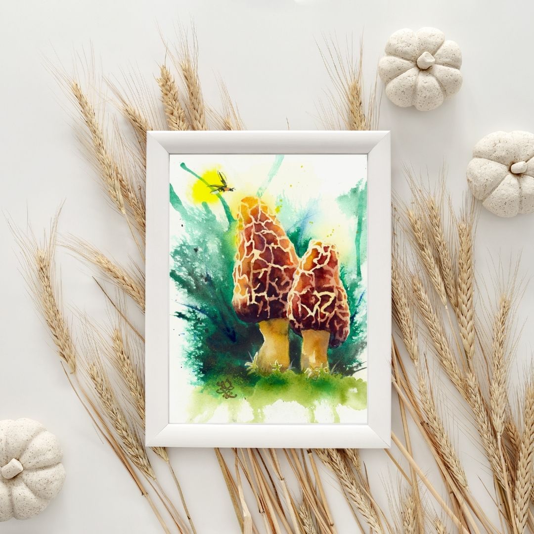 morel3 mushroom Watercolor painting by Sophie Xie Dream In Watercolor