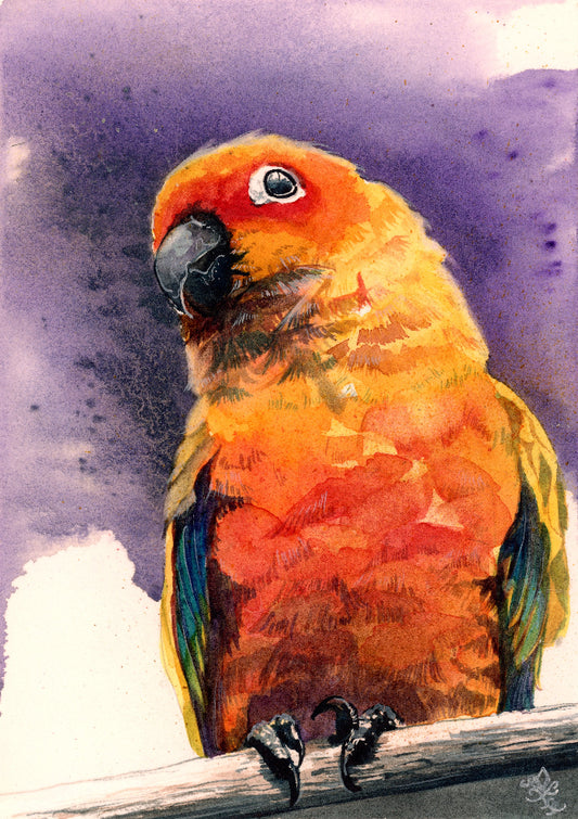 bird pet collection Watercolor painting by Sophie Xie Dream In Watercolor