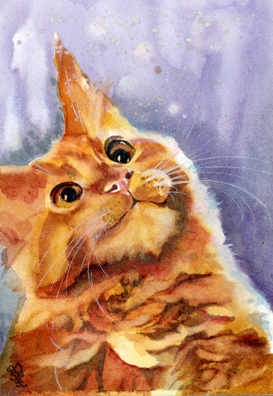 cat pet collection Watercolor painting by Sophie Xie Dream In Watercolor