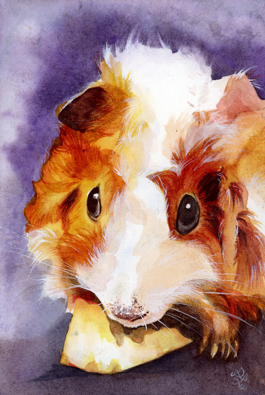 Guinea Pig watercolor painting Watercolor painting by Sophie Xie Dream In Watercolor. 