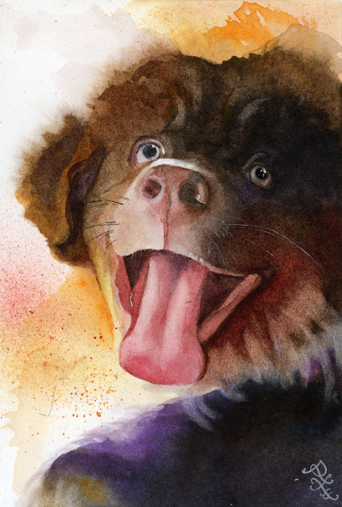 puppy pet collection Watercolor painting by Sophie Xie Dream In Watercolor