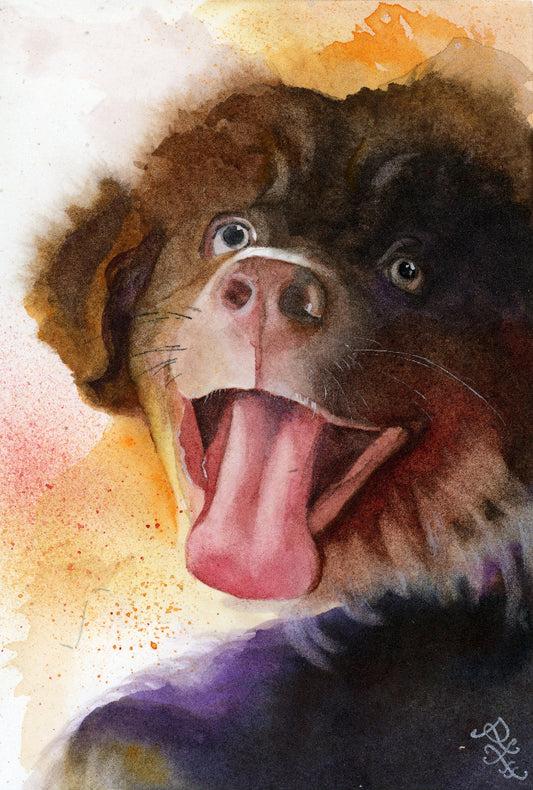 puppy pet collection Watercolor painting by Sophie Xie Dream In Watercolor